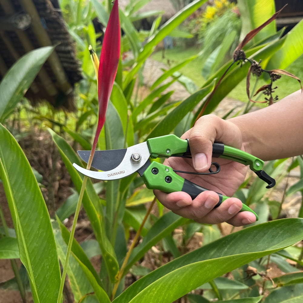 Daimaru Bypass Shears Gardening 8 Inci Stainless Steel Hijau Hitam Heavy Duty Alat Potong Gunting Taman Super Sharp untuk Berbagai Kebutuhan Berkebun