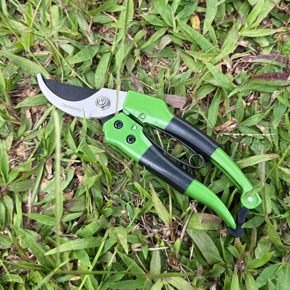 Daimaru Bypass Shears Gardening 8 Inci Stainless Steel Hijau Hitam Heavy Duty Alat Potong Gunting Taman Super Sharp untuk Berbagai Kebutuhan Berkebun